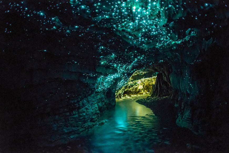 waitomo glowworm caves nouvelle zelande
